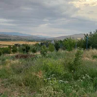 فروش ۵۰۰ متری باغ درجاده اهر مشگین|فروش دفتر صنعتی، کشاورزی، تجاری|فندقلو, |دیوار