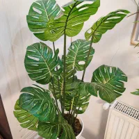 گل مصنوعی|گل مصنوعی|قیامدشت - خاورشهر, |دیوار