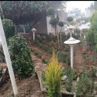 خدمات باغبانی گلکاری  تعویض خاک گلدون باغچه کاری