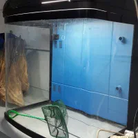 اکواریوم اب شور وشیرین