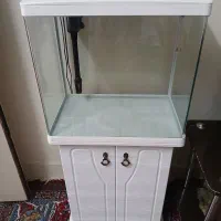 آکواریوم نو با تمام وسایل