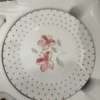سرویس ۲۸ پارچه چینی زرین والنسیا