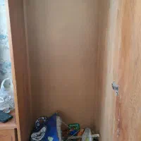 دوعدد کمد چوبی معاوضه با کفتر خوب|جاکفشی، کمد، دراور|شیراز, اصلاح‌نژاد|دیوار