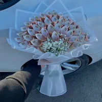 باکس پول|گل مصنوعی|زنجان, |دیوار