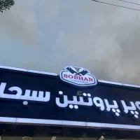 قصاب و همکار آشنا با پاک کردن مرغ و ماهی