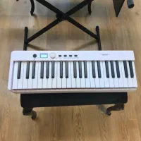 پیانو تاشو|پیانو، کیبورد، آکاردئون|ساری, |دیوار