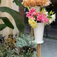 انواع گیاه و گل مصنوعی (اقساط) آکوهوم|گل مصنوعی|کیش, |دیوار