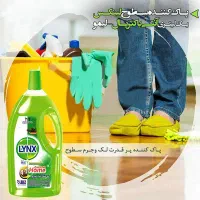 وایتکس گیاهی|مواد شوینده و دستمال کاغذی|لاهیجان, امیرشهید|دیوار