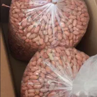 حراج بادام زمینی دشت مغان|حراج|خوی, |دیوار