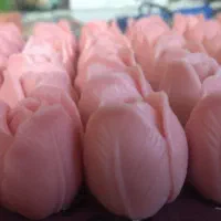 گیفت قرمزلاله