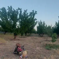 باغ شهر تلاش