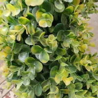 درخت چه|گل مصنوعی|اندیشه, اندیشه فاز ۳|دیوار