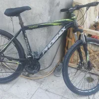 دوچرخه فونیکس