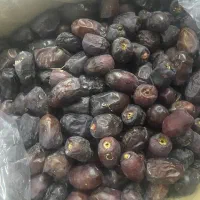 خرمای سروان|خوردنی و آشامیدنی|قم, آزادگان|دیوار