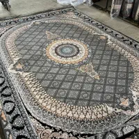 فرش//دلاریس*