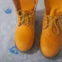 بوت ساق بلند|کیف، کفش، کمربند|بندر انزلی, زنبق|دیوار