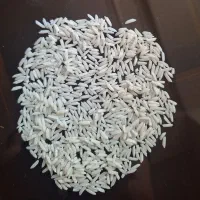 برنج هاشمی|خوردنی و آشامیدنی|رشت, رشتیان|دیوار