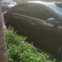 جیلی امگرند رنگ موکا استثنایی