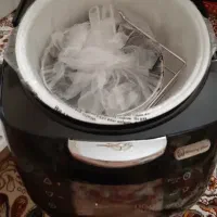 پلوپز ۱۸کاره مارک وستینگ هوس|اجاق گاز و لوازم برقی پختوپز|قزوین, |دیوار