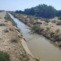 زمین کشاورزی درجه یک|فروش دفتر صنعتی، کشاورزی، تجاری|سوسنگرد, |دیوار