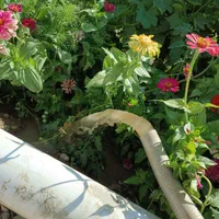 حفاری چاه آب تضمینی|خدمات پیشه و مهارت|ارومیه, |دیوار