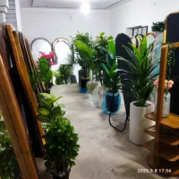 گرین وال شکوفه چمن انواع آیینه های پایه دار|گل مصنوعی|کرمان, |دیوار