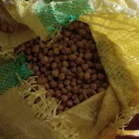 کاه نخود و عدس درجه یک