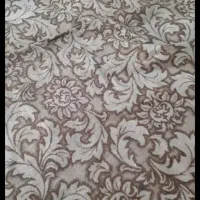 پلازموکت