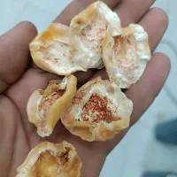 برگه شفتالو درجه یک