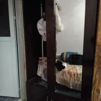 جاکفشی