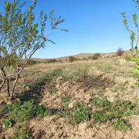 زمین باغی وزمین کشاورزی در متراژهای مختلف|فروش دفتر صنعتی، کشاورزی، تجاری|خوانسار, |دیوار