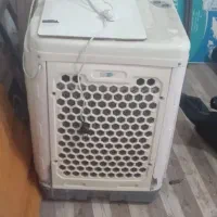کولر سلولزی