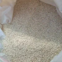 نیم دانه خورده برنج چمپا