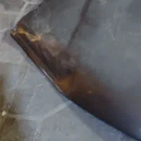 کاپوت پژو پارس یا( آریسان)