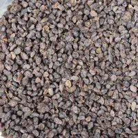 کشمش پلوی ملایر