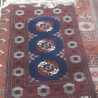 قالیچه|فرش|گنبد کاووس, |دیوار