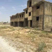 اسکلت