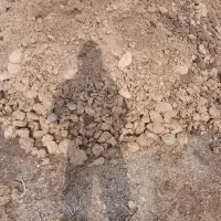 کود گوسفندی|حراج|میاندوآب, |دیوار