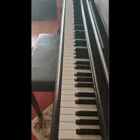 پیانو ydp142|پیانو، کیبورد، آکاردئون|شیراز, فرهنگ شهر|دیوار