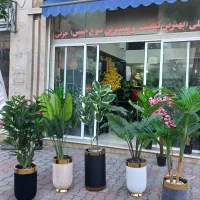 درختچه مصنوعی|گل مصنوعی|گرگان, |دیوار