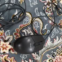 2عدد موس و1 کیبورد