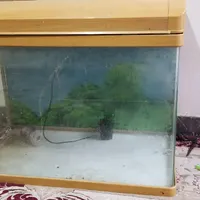 اکواریوم شیشه خم شرکتی