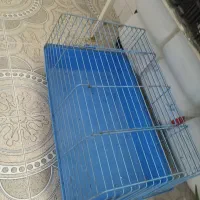 قفس سایز بزرگ خرگوش