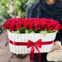 همکار در گلخانه بهارستان|استخدام خدمات فروشگاه و رستوران|کرمان, |دیوار