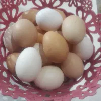 تخم مرغ گلپایگان محلی