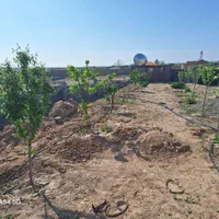 فروش باغ دور دیوار در قشلاق (مقابل تپه سلام )|فروش خانه و ویلا|رضویه, |دیوار