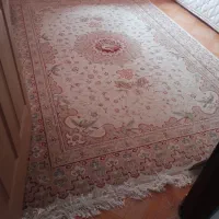 فرش|فرش|بندر انزلی, ساحل قو|دیوار