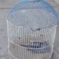 قفس|لوازم جانبی حیوانات|خاش, |دیوار