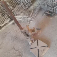 باسکول۵۰۰کیلو قدیمی ایران رکورد راه بند فروشگاهی|ماشین‌آلات صنعتی|تبریز, |دیوار