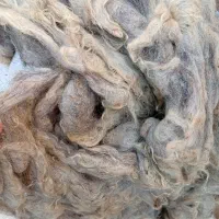 پشم گوسفندی ،شسته شده